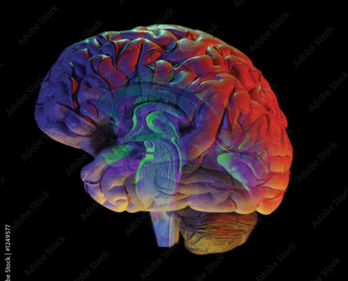 A colorful image of the human brain.